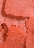 Хлопья - базовый корм для рифа. Prime Reef Flake. 71 г.     >>>