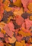 Хлопья - Артемия Плюс. Brine Shrimp Plus Flake. 34 г.     >>>