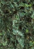 Зеленые морские водоросли. Green Marine Algae. 50 больших листов. >>>